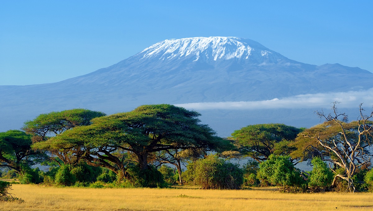 Mountaintop Kilimanjaro Summit