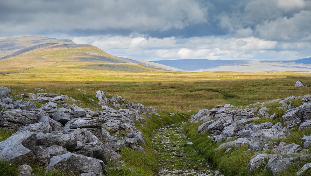Y3P Whernside